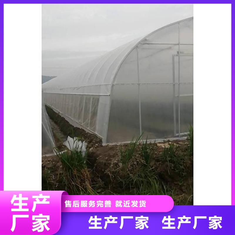 广西省支持定制加工(泽沃)圆拱型大棚管在线报价2024