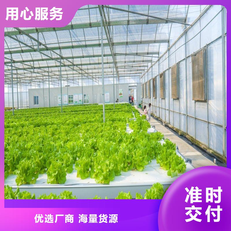 东阿塑料薄膜大棚源头好货