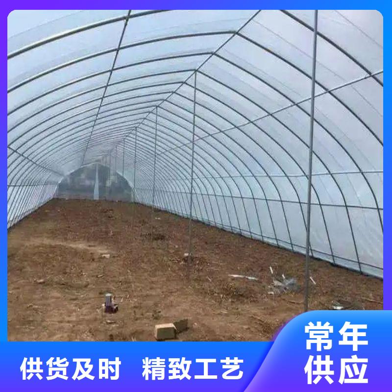 永新县蔬菜大棚怎么买