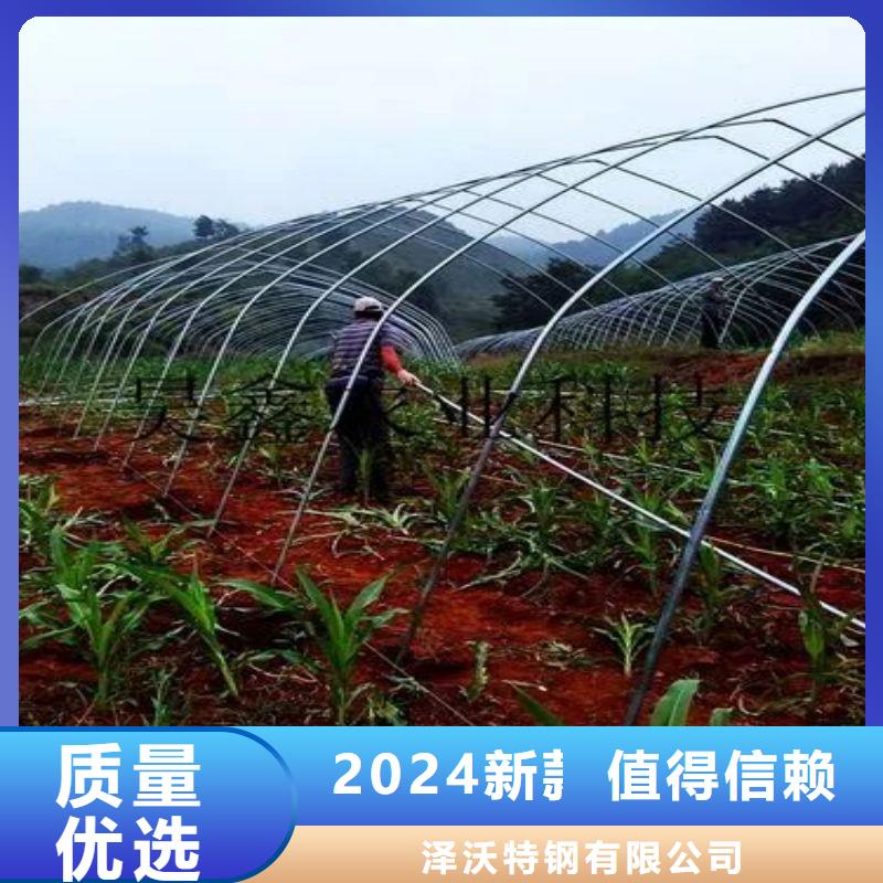 新都连栋大棚结构图质量放心2025