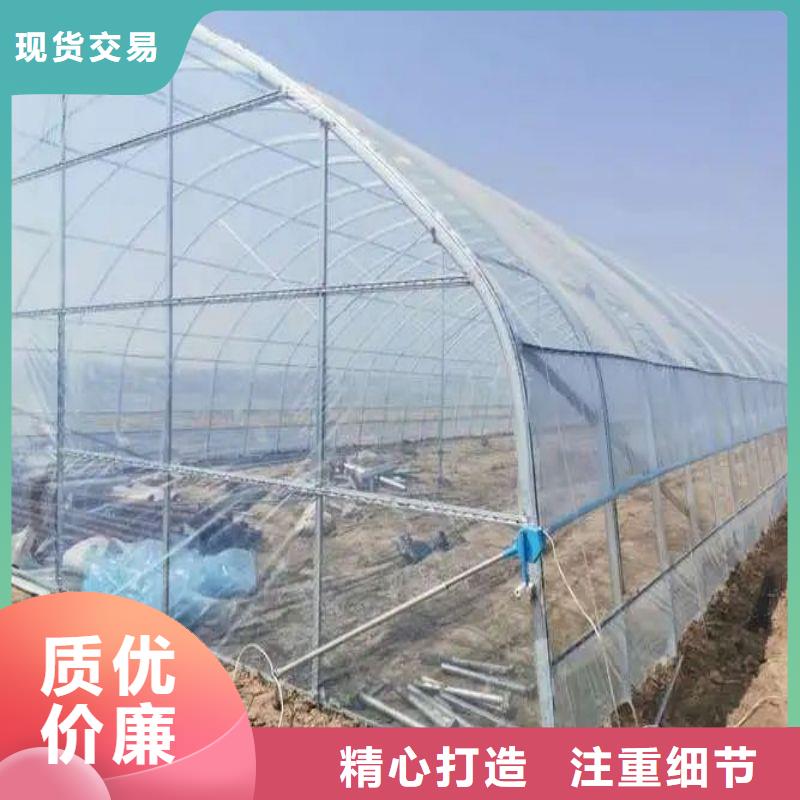 富阳连栋大棚批发零售2025