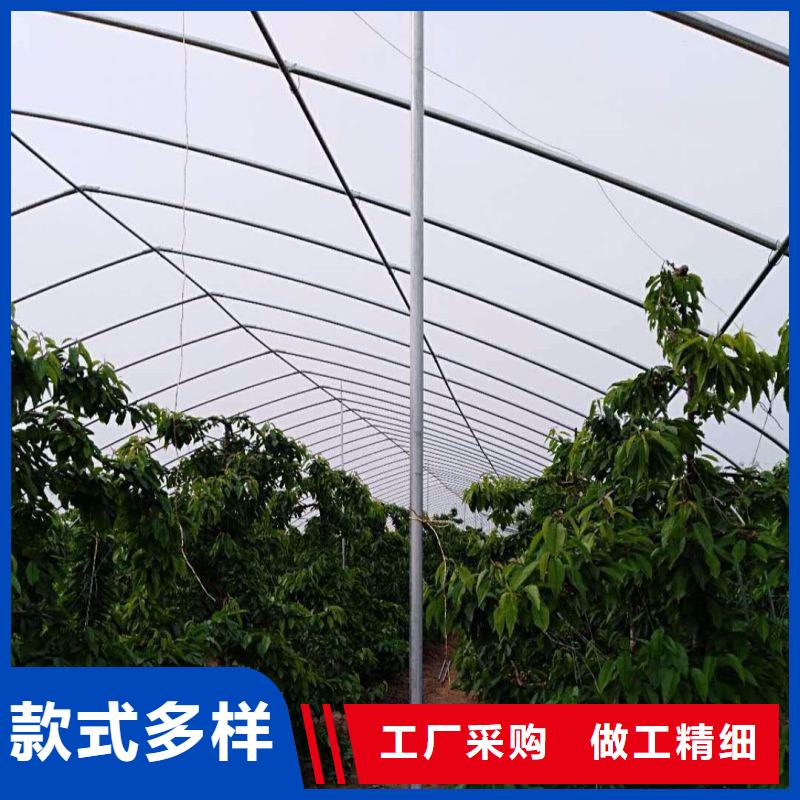 莱西种植棚型号齐全