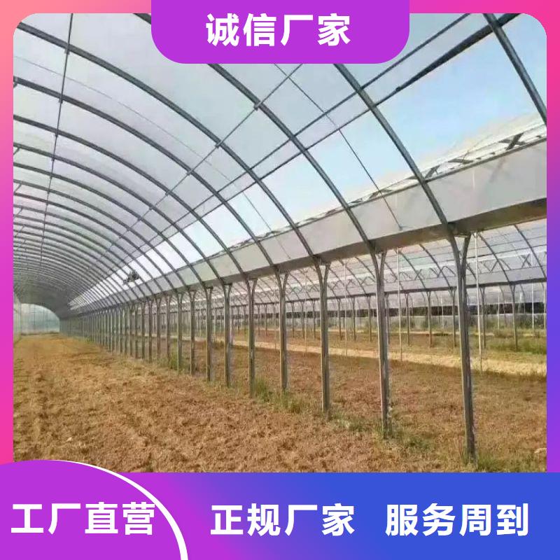 桦甸连栋大棚价格行情2025