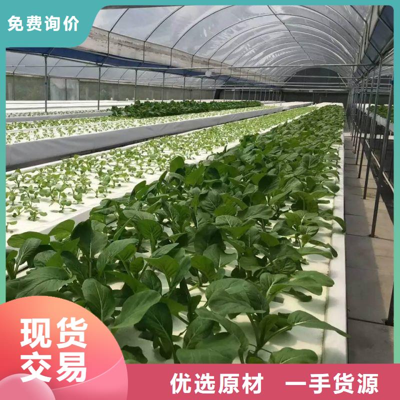 大棚管2日光温室大棚精工细致打造