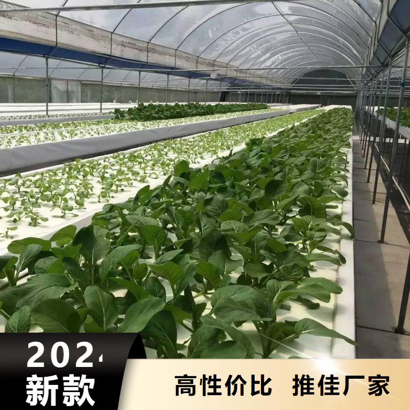 任丘连栋大棚安装视频教程欢迎电询2025