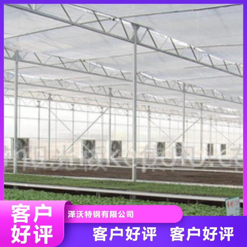 连栋大棚管种植基地2025已更新