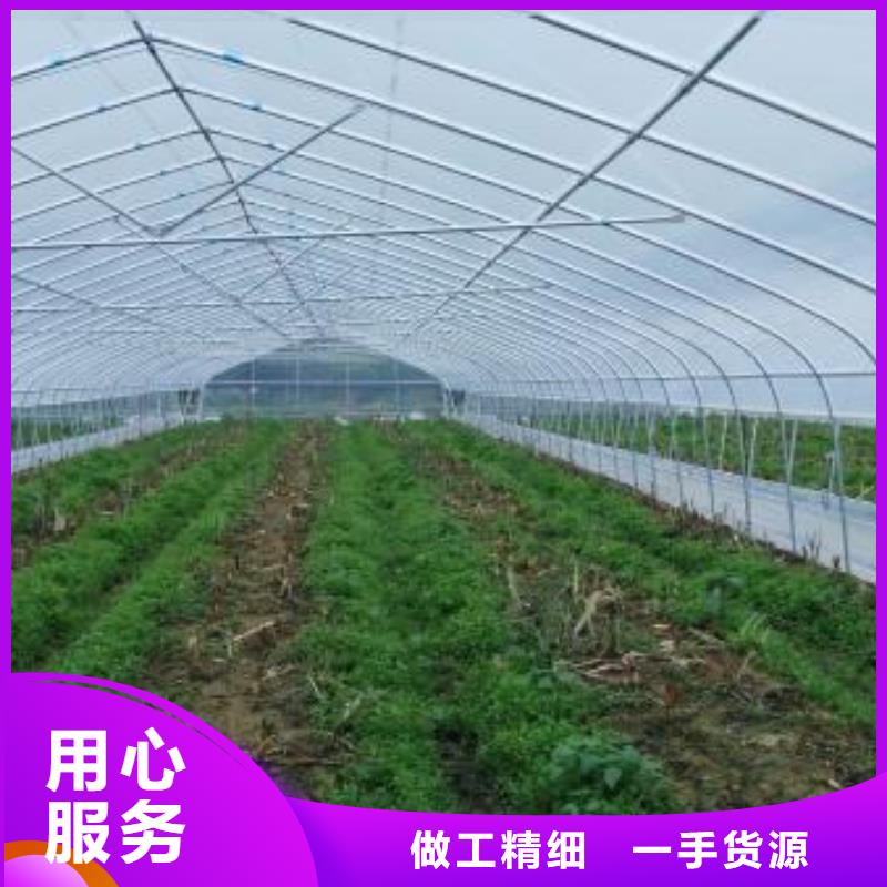 大棚管蔬菜温室大棚管规格型号全