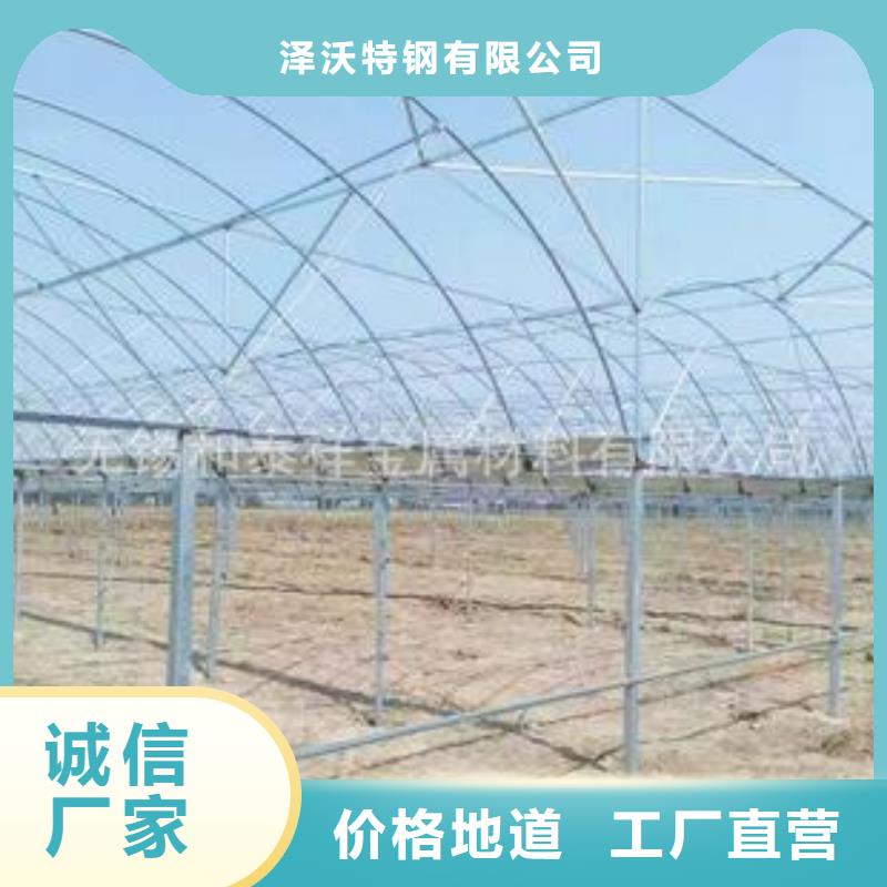 东洲蔬菜大棚管为您介绍2025已更新