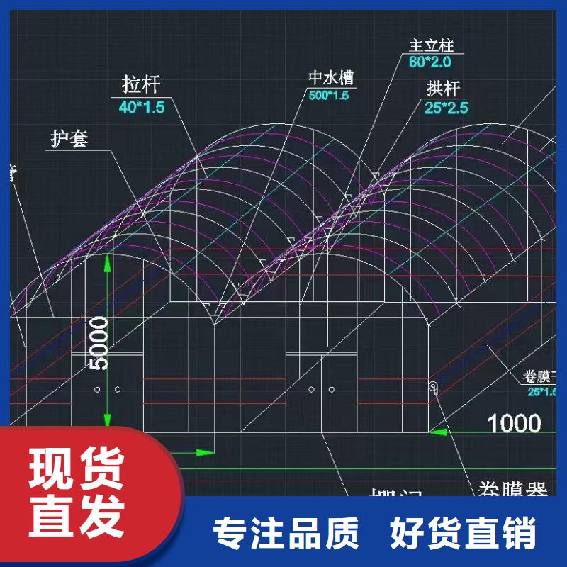 大规模蔬菜棚生产厂家