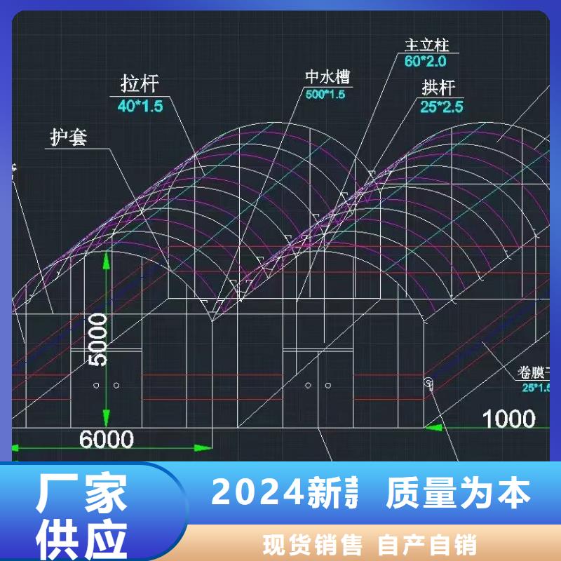 货源充足的现场实拍大棚实力厂家