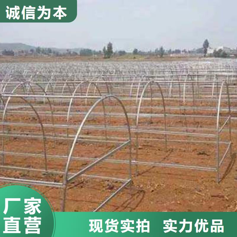 茶陵县供应连栋热镀锌管免费提供安装技术