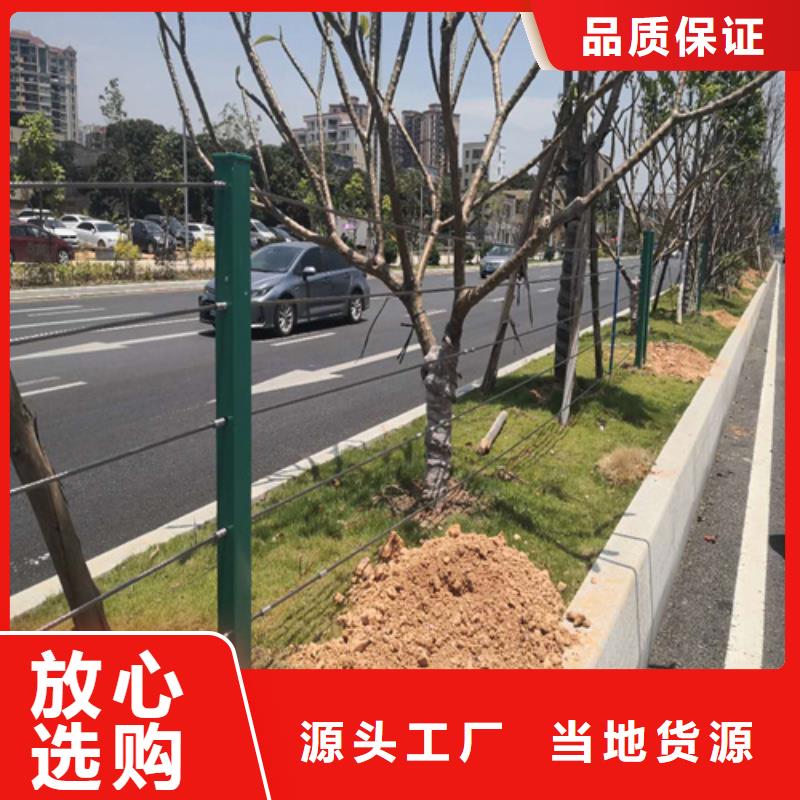 现货供应绳索护栏规格型号_精选厂家