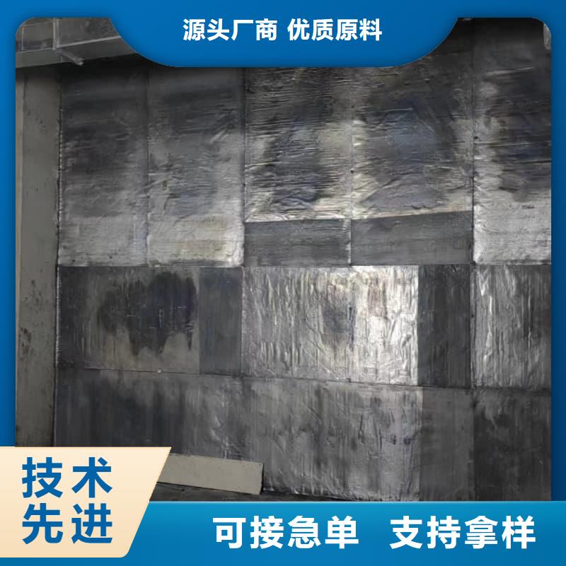 电动防护铅门-实体厂家