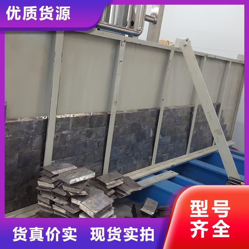 电动防护铅门-实体厂家