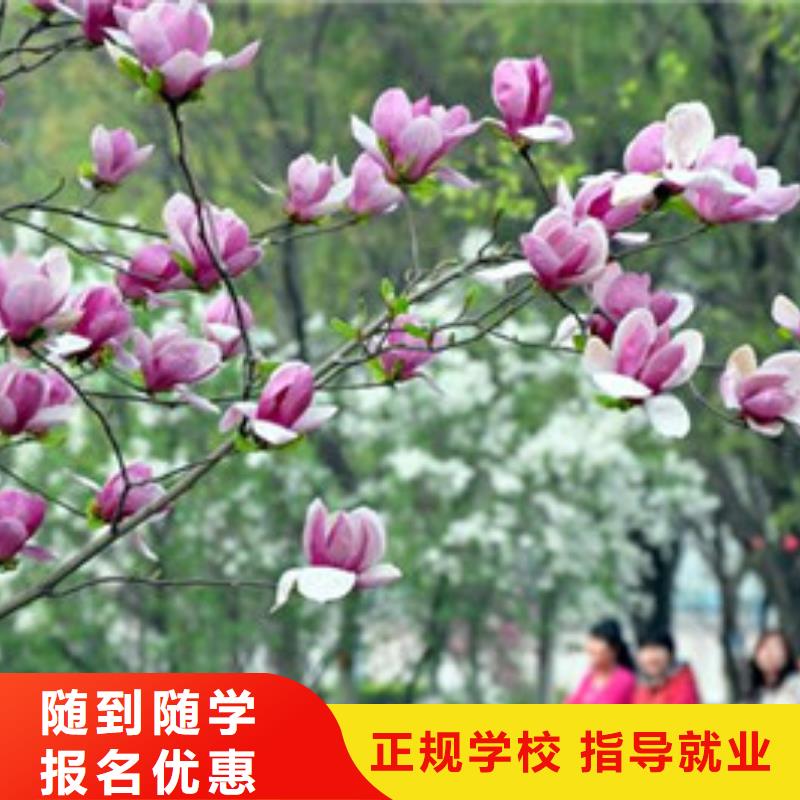 单招培训老师专业