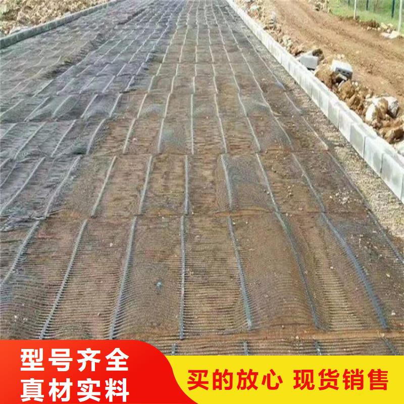 【单向塑料土工格栅_HDPE黑色土工膜定制定做】