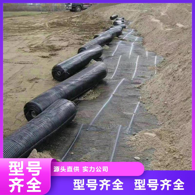 单向塑料土工格栅复合土工膜技术先进