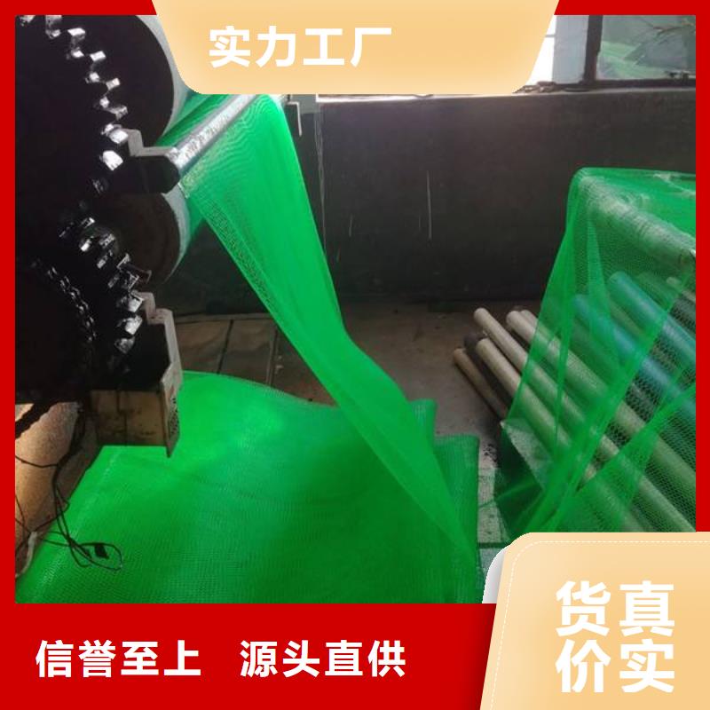 三维植被网城建土工膜质优价廉