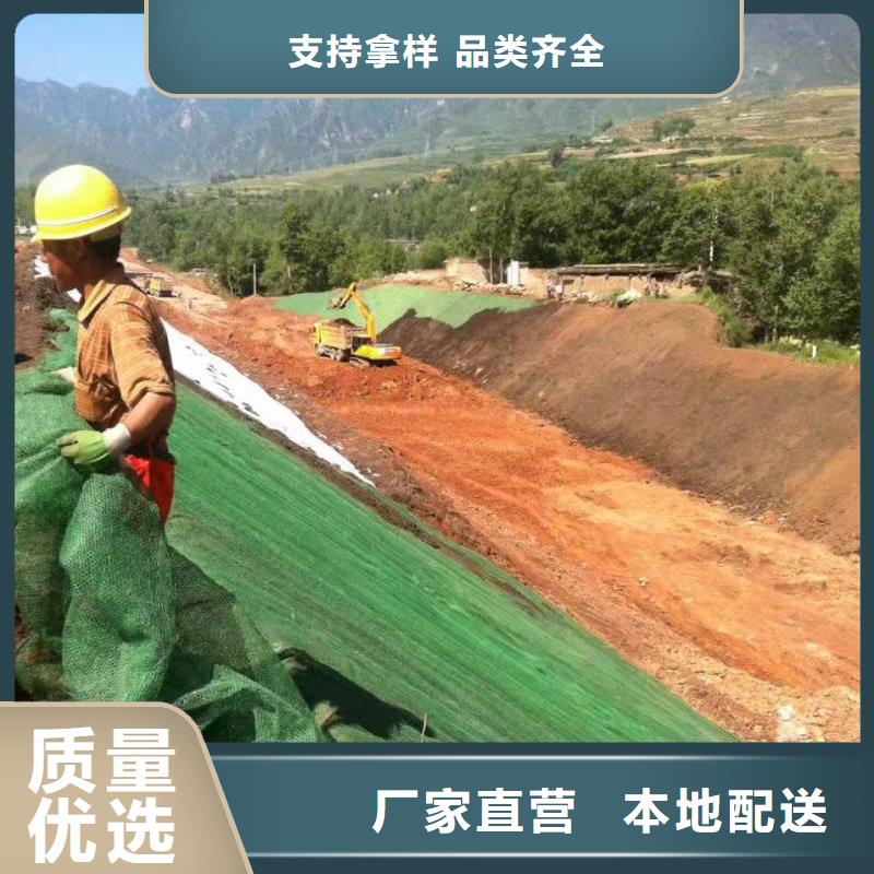 三维植被网城建土工膜质优价廉