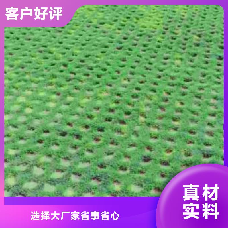 植草格单向塑料土工格栅现货充足量大优惠