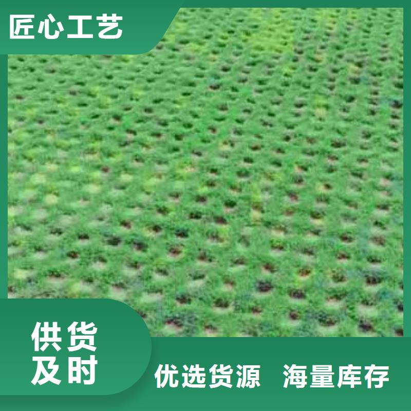 植草格_毛细排水板现货交易