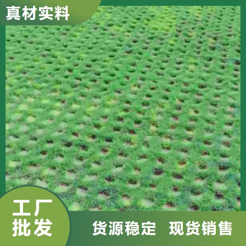 【植草格短丝土工布诚信厂家】