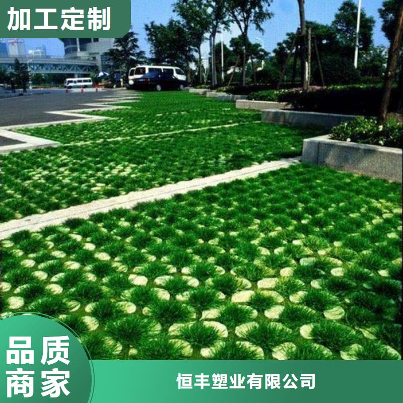 植草格护坡土工网种类丰富