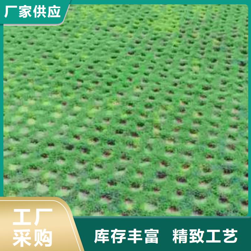 植草格HDPE土工膜符合行业标准
