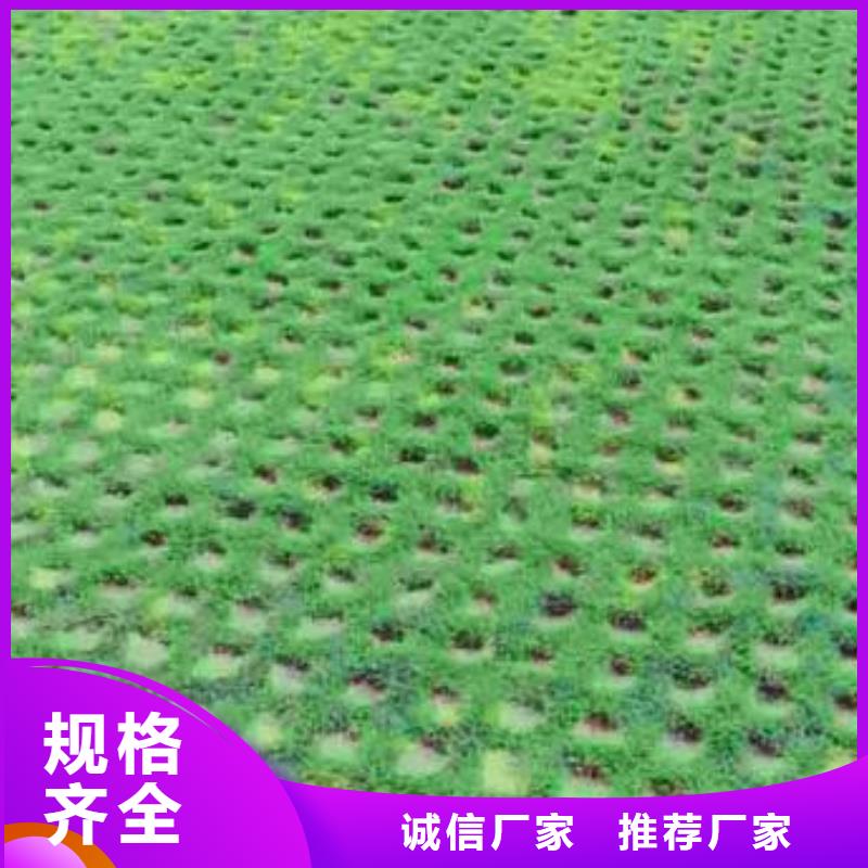 植草格_土工布全新升级品质保障