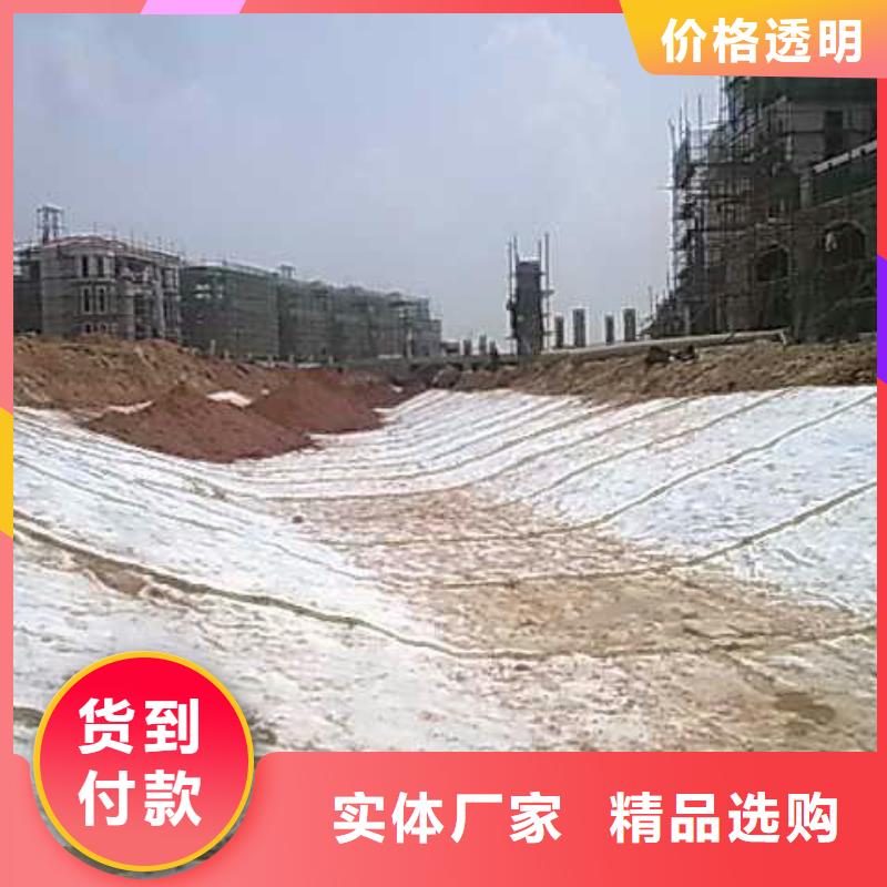 【膨润土防水毯护坡土工网认准大品牌厂家】