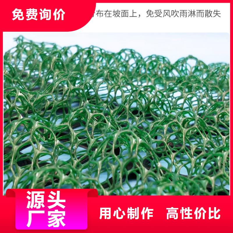 【三维植被网】-土工格室品质无所畏惧