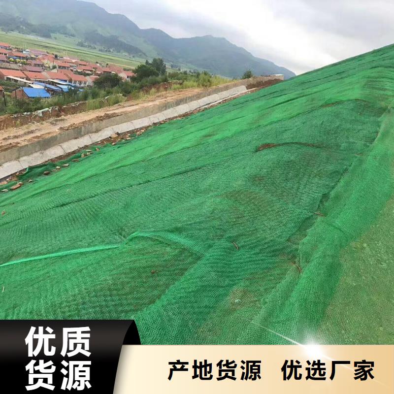 三维植被网钢塑土工格栅专业设计