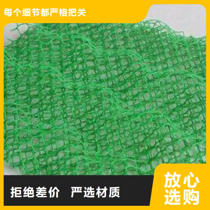 三维植被网防水土工布可定制