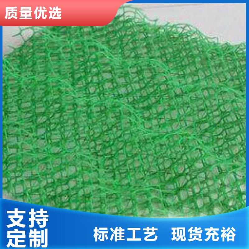 三维植被网玻纤土工格栅货源充足