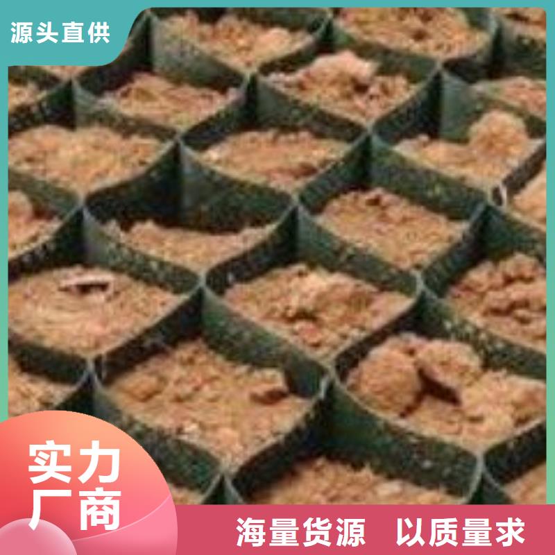 土工格室聚乙烯土工膜来电咨询