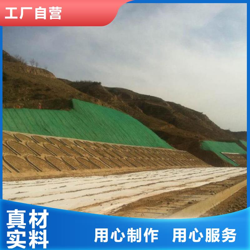 三维植被网双向塑料土工格栅自有生产工厂