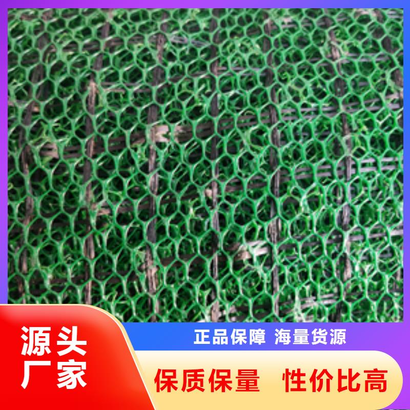 【三维植被网】防水土工布大量现货