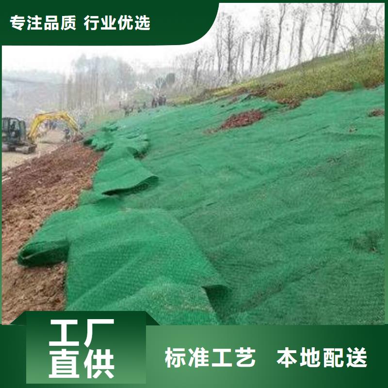 三维植被网_单向塑料土工格栅N年专注