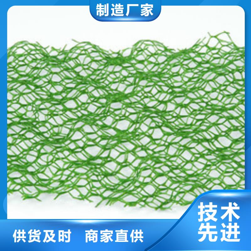 三维植被网双向塑料格栅拒绝中间商