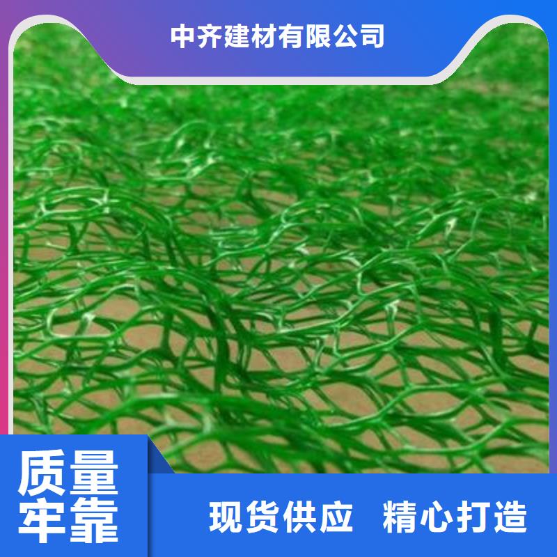 三维植被网,膨润土防水垫厂家定制