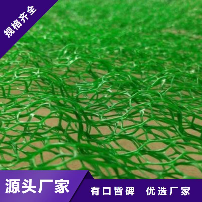 匠心工艺【中齐】三维植被网,护坡土工网匠心制造