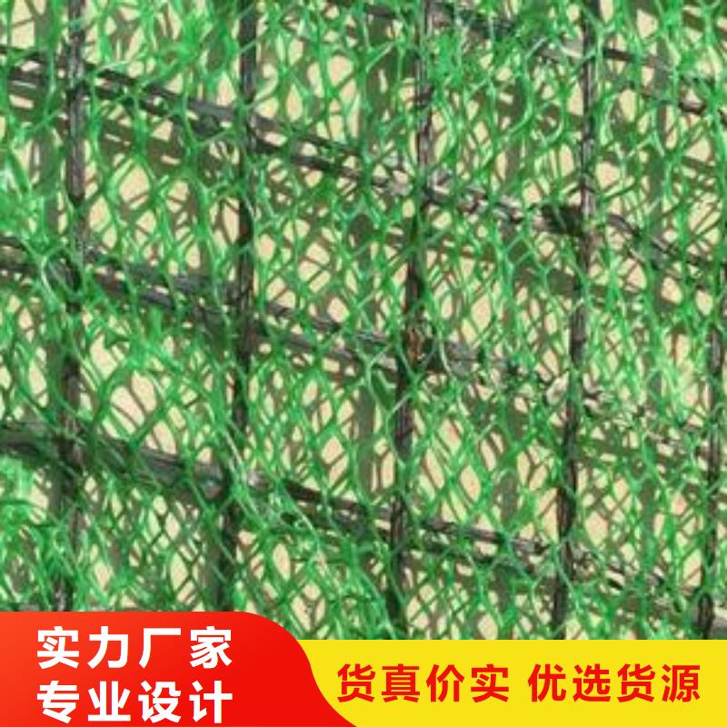 三维植被网双向塑料土工格栅质量牢靠