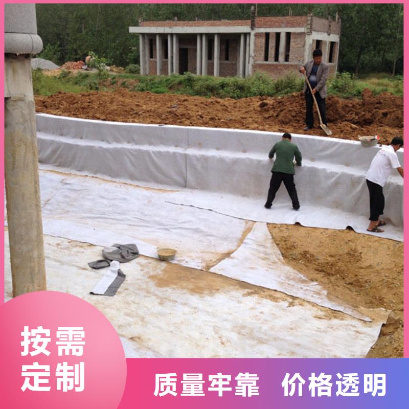 膨润土防水毯-凸结点钢塑土工格栅工厂现货供应