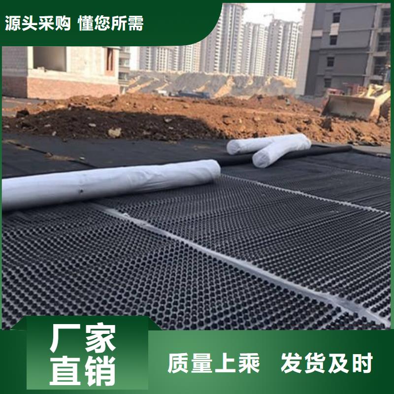 塑料排水板双向塑料土工格栅大量现货供应