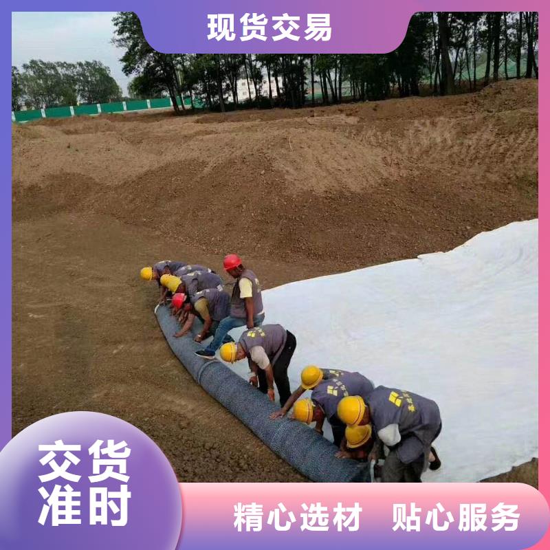 防水毯,【钢塑土工格栅厂家】精工打造