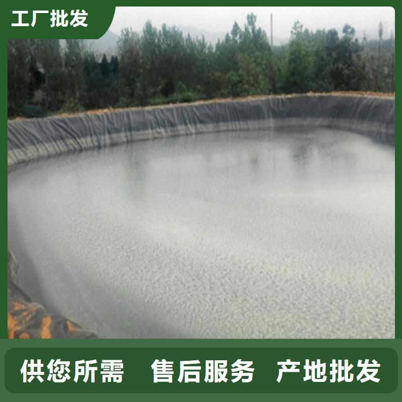 土工膜-土工布工艺精细质保长久