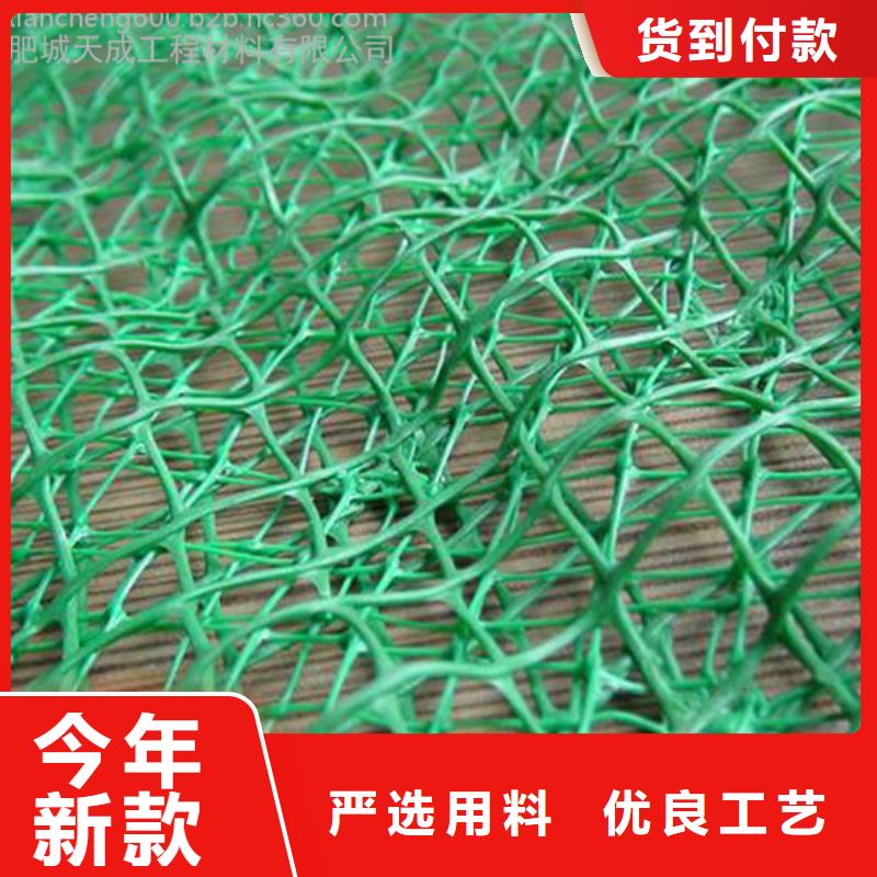 三维植被网【钢塑土工格栅厂家】N年生产经验