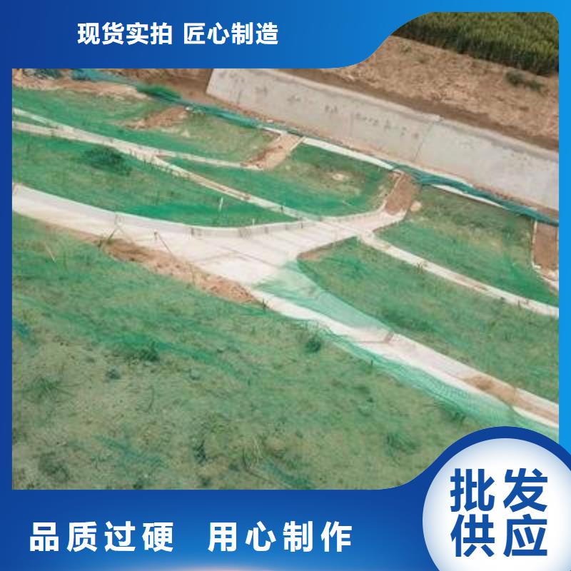 三维植被网-凸结点钢塑土工格栅品牌企业