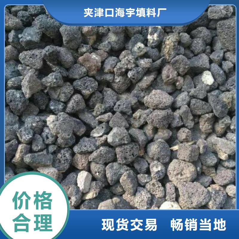 火山岩【果壳滤料】价格有优势