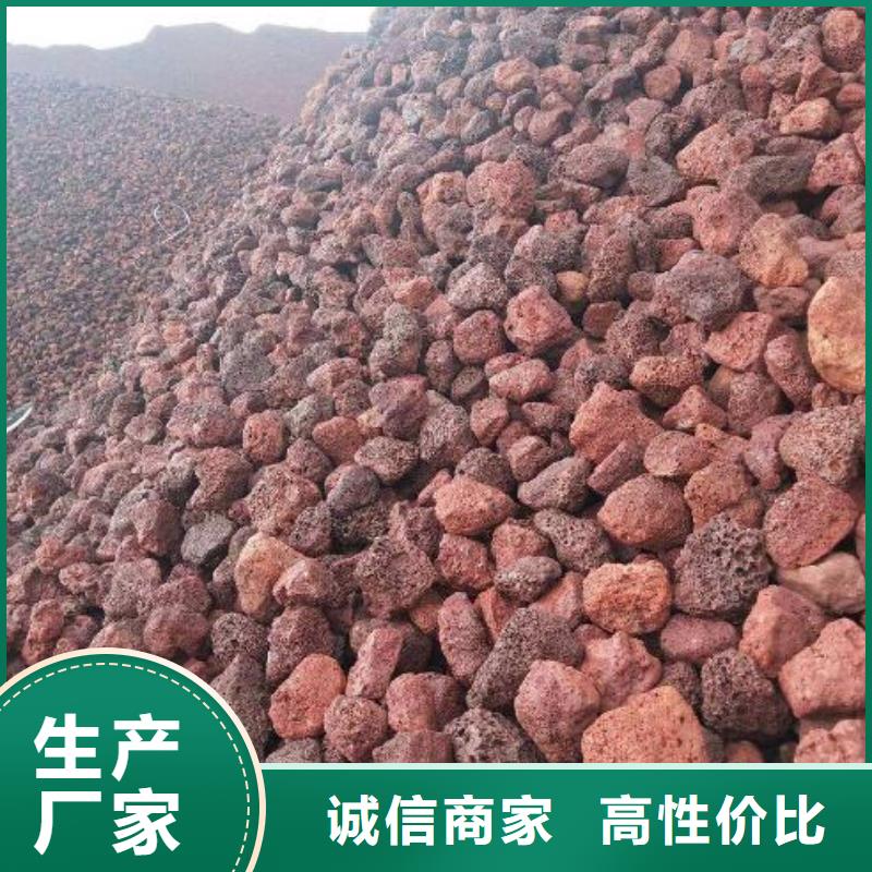 【火山岩】鲍尔环厂家销售